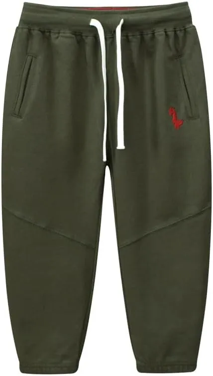 Toddler Boys Jogger Active Athletic Pants Dinosaur Sweatpants (1-Pack 2-Pack